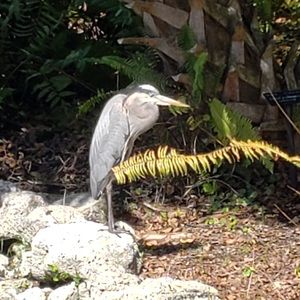 Meet your Posher, Colleen